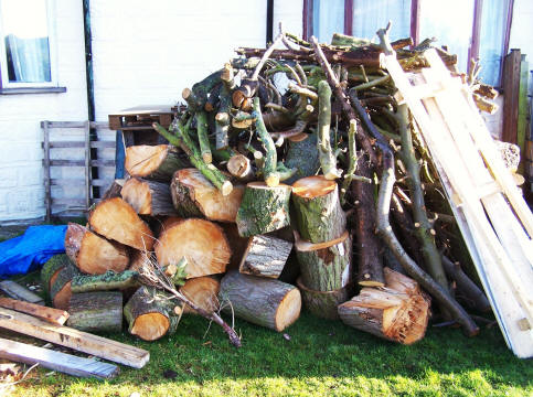 Logs from our coppice woodland 