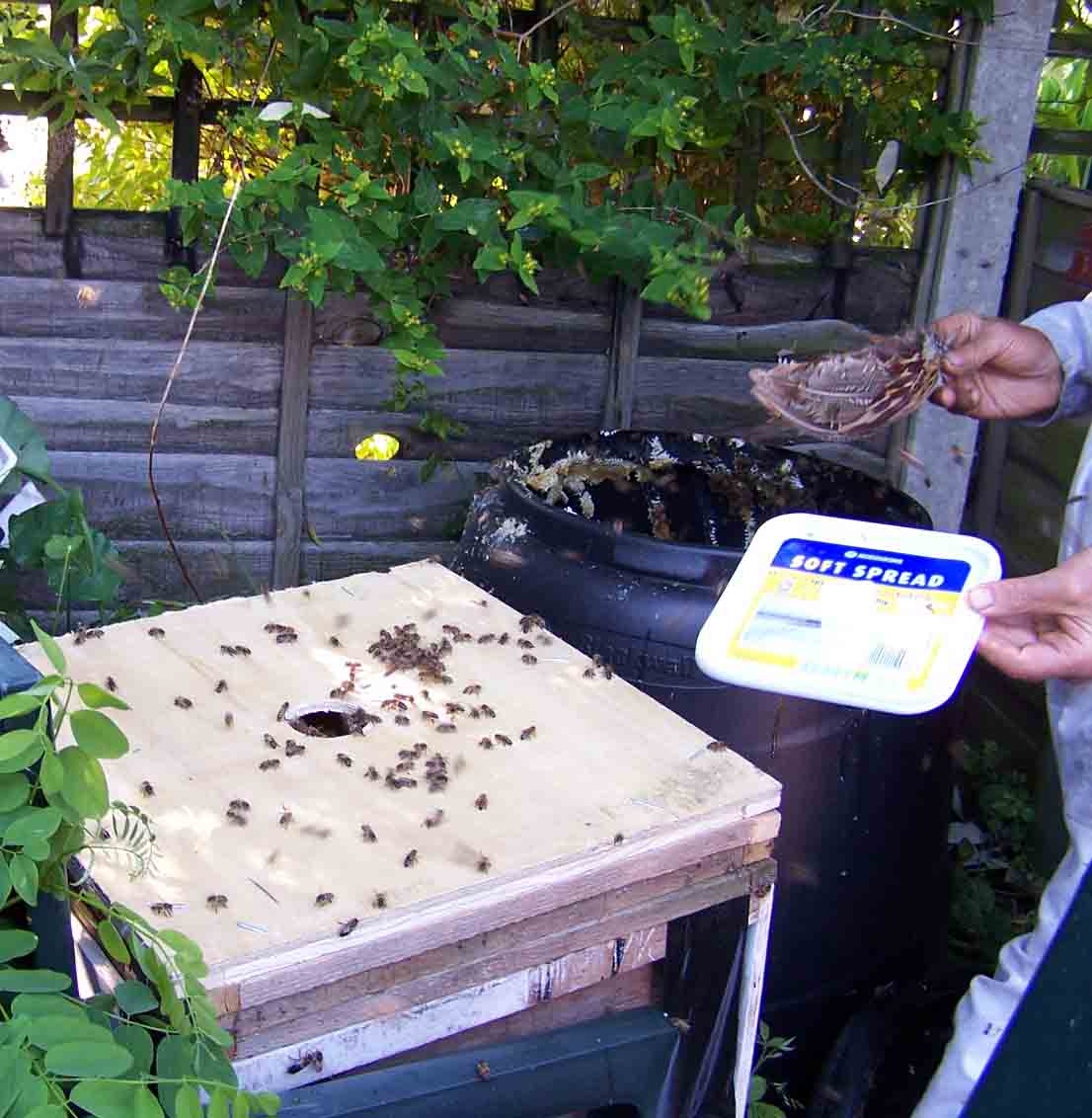brushing loose bees on to brood box