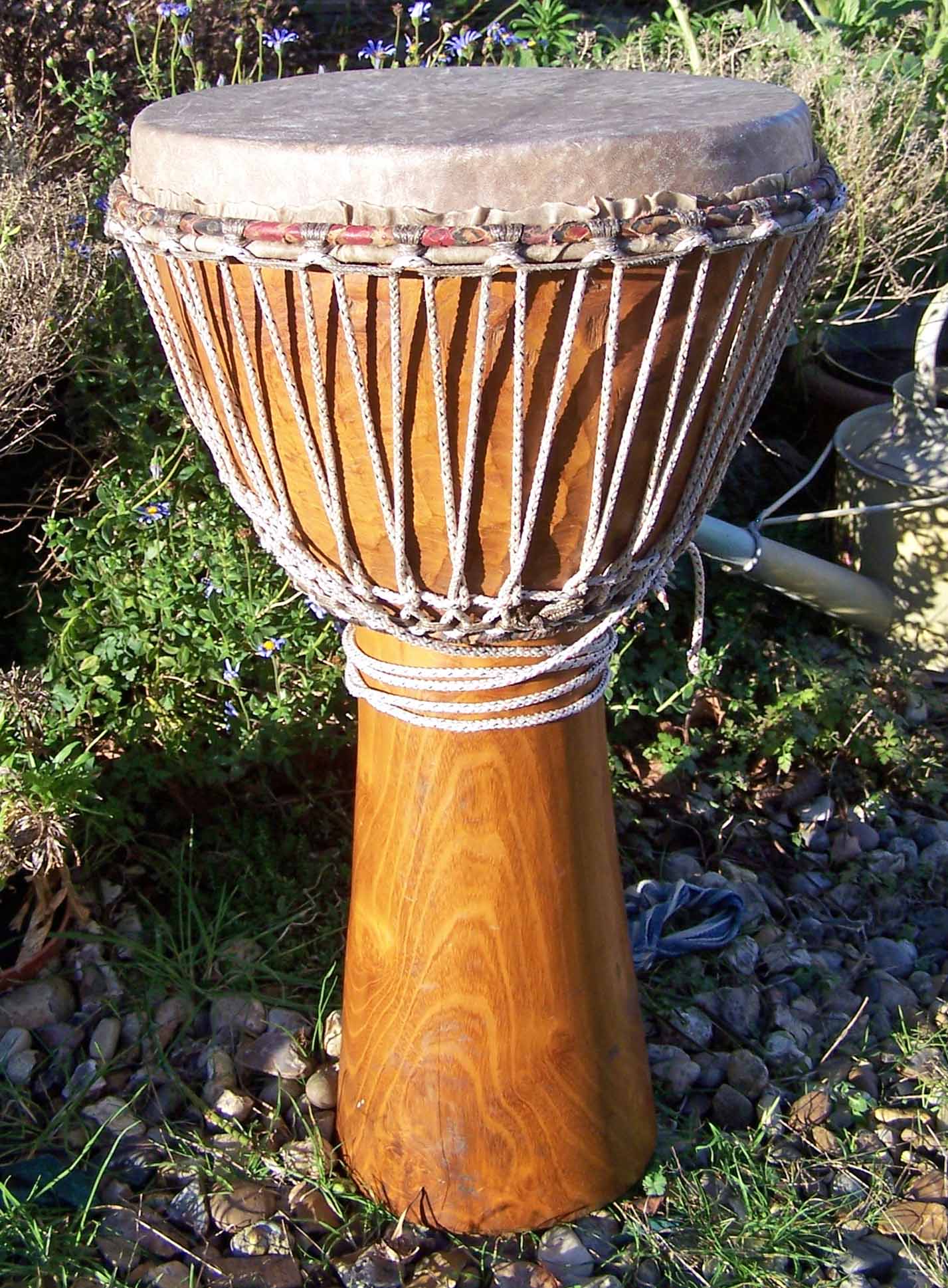 djembe drum